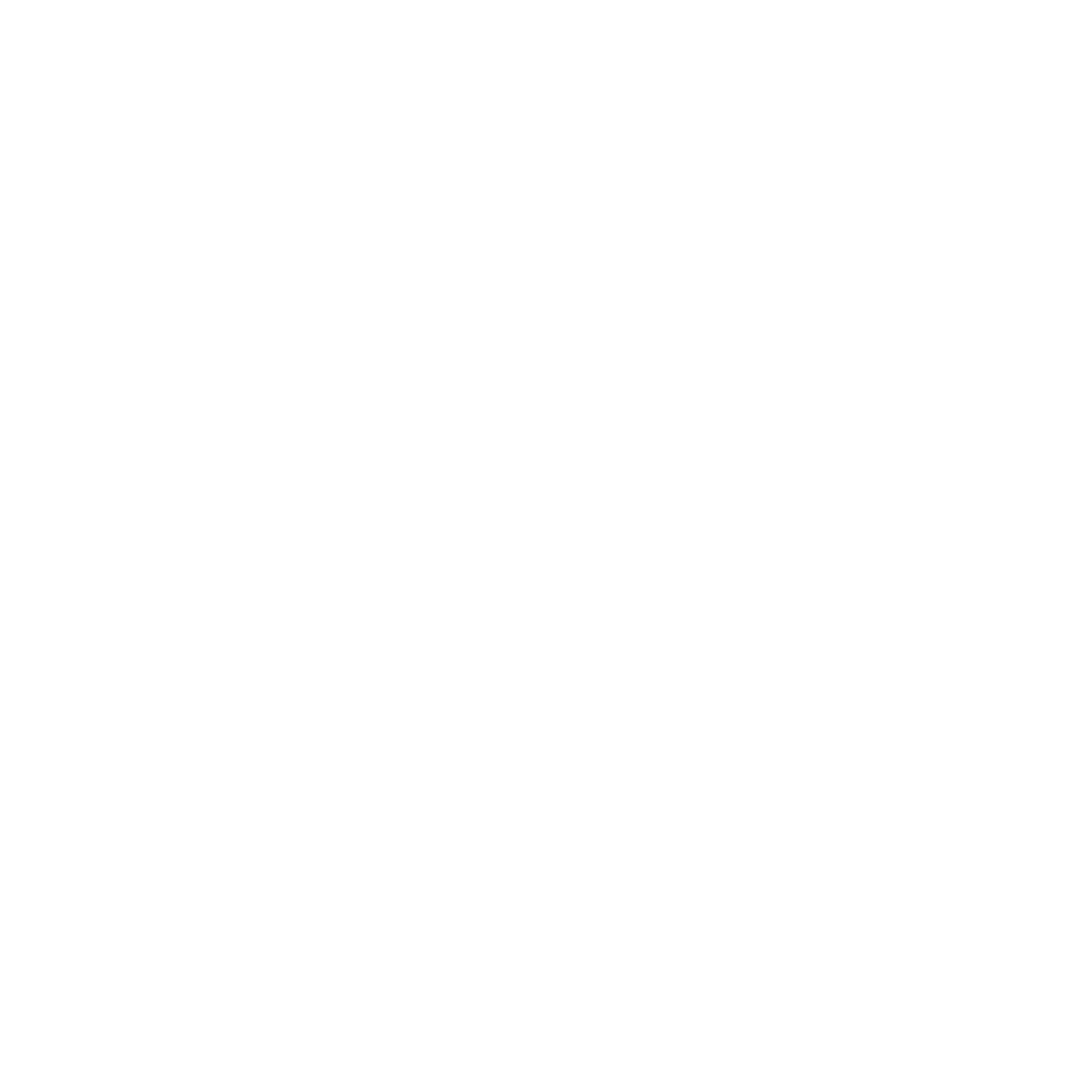 VisionAI Logo